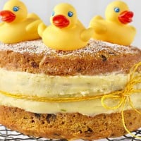 Carrot Duckling Cake