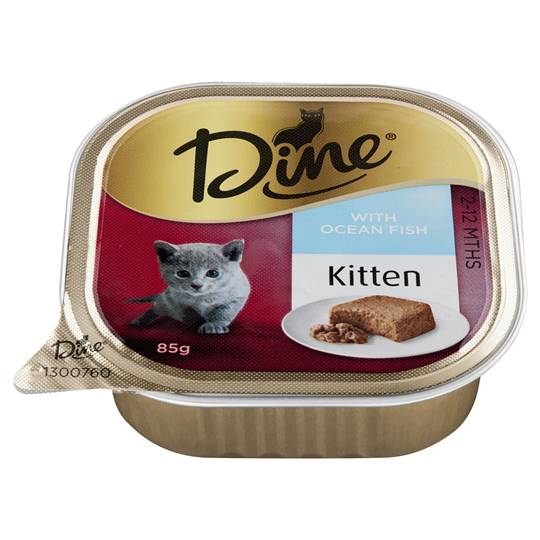 Dine Kitten Food With Steamed Ocean Fish