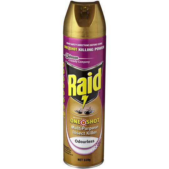 Raid Insect Spray One Shot M/ Purpose Odourless