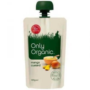 Only Organic 6 Months Mango Custard