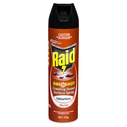Raid One Shot Insect Spray Odourless