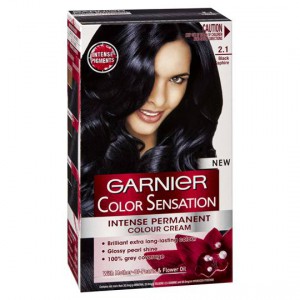 Garnier Colour Sensational 2.1 Black Sapphire