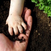 Get out Your Green Thumbs: 10 Tips to Get Your Kids into Gardening