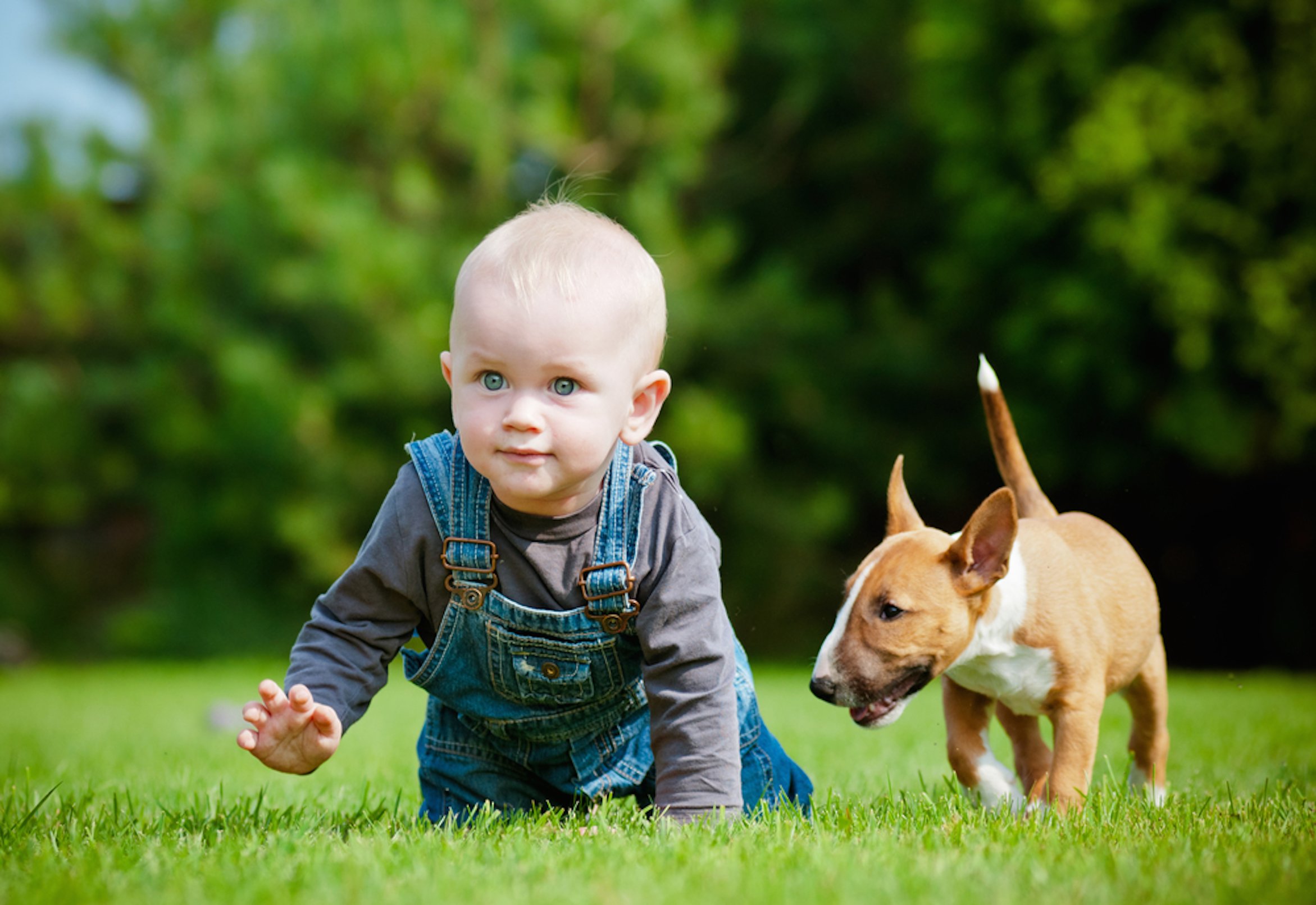 Video: Baby plays fetch with his dog - Mouths of Mums