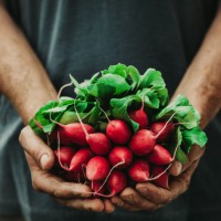 Is Organic Food Actually Better For You?