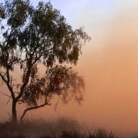 Tips for travelling to Broome & The Kimberley in the wet season