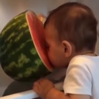 Video: Baby feasts on watermelon