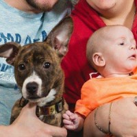 Pet dog saved this baby boy's life