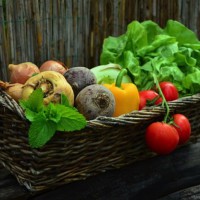 The Two Golden Rules of Nutrition