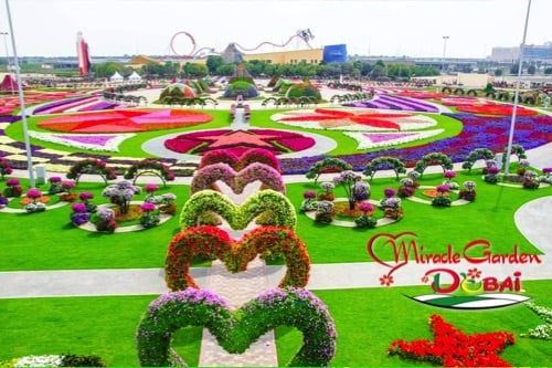 visit-dubai-feature_miracle-garden_1