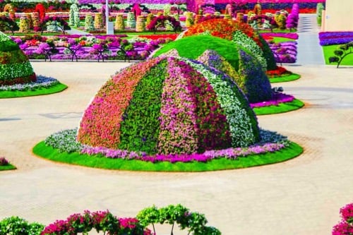 visit-dubai-feature_miracle-garden_2