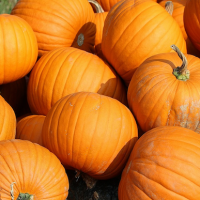 How to get glowing skin with a DIY pumpkin face peel