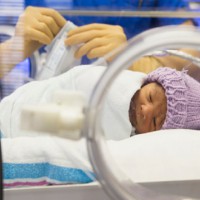 Research finds parents should NOT wait to cuddle their premature baby