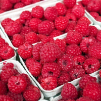 Video: How to make raspberry cheesecake brownies