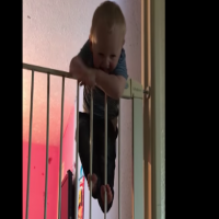 Video: Toddler climbs over baby gates with ease!