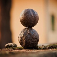 The wisdom of forgiveness