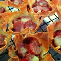 Wonton Pizza Cup