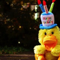 How To Plan The Best First Birthday Party