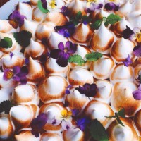 Gluten Free Lemon Meringue Tart