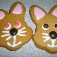 Easter Bunny Gingerbread