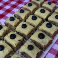 Blueberry and Walnut Squares