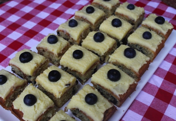 Blueberry and Walnut Squares