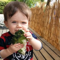 Mother of toddler who died in hot car was certain he was at childcare