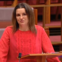 Outpouring of support for Jacqui Lambie's emotional speech