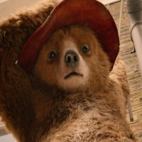 Exciting sneak preview of the new movie Paddington 2
