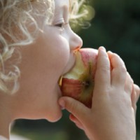 Convenience or Lazy Parenting? Supermarket Offers Prepacked Children Snacks