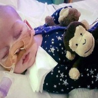 Heartbreaking images show  Charlie Gard at his first a picnic