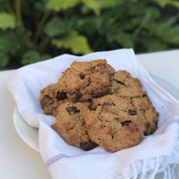 Barley+ and Oat Choc Chip Cookies