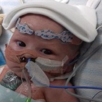 Parents desperate Facebook plea will break your heart