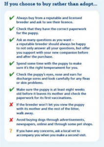 dog tips