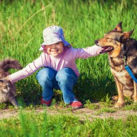 Dogs vs Cats – Which Makes the Better Pet?