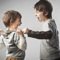 Bullied Siblings More Likely to Develop Mental Health Disorders