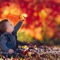Autumn Inspired Names for Your New Baby