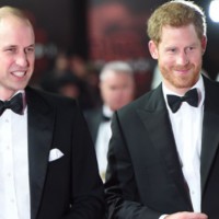 Exciting News For Prince Harry and William