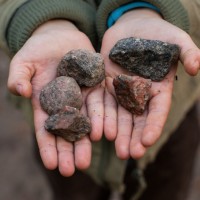 Daycare Worker Encourages Kids to Throw Rocks at Four Year old Boy