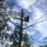 Frightening Video of a Child With an Intellectual Disability Being Rescued From Live Power Pole