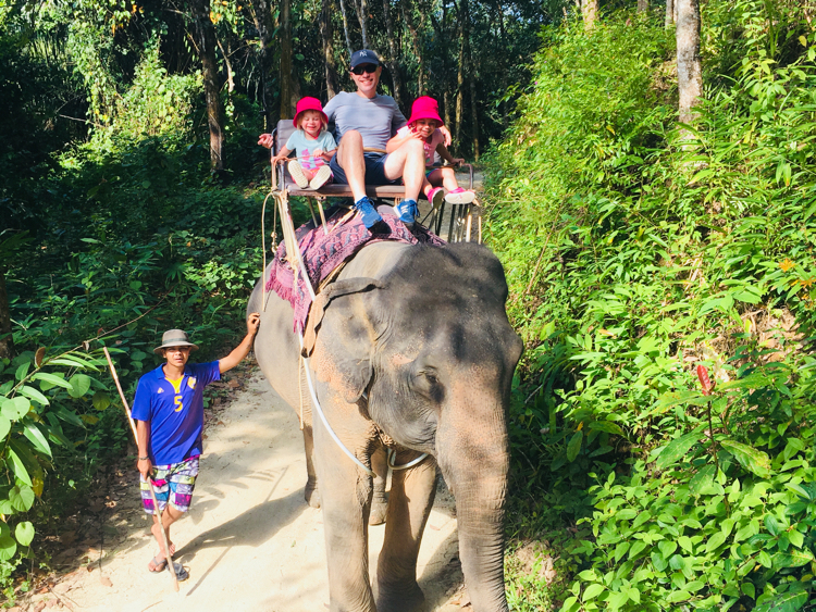 thailand-elephant