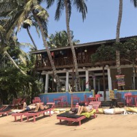 Drunk Honeymooners Accidentally Buy A Hotel