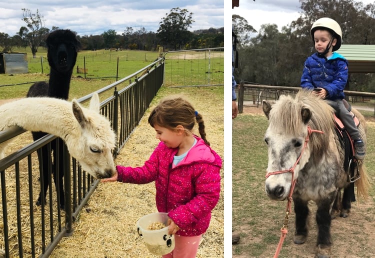 Win A Family Day Visit To Mowbray Park Farmstay