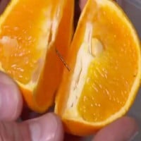 Latest New Case of a Needle Found in Fruit