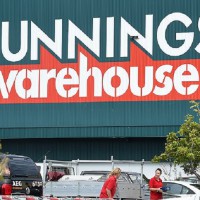 Bunnings Launches Adorable Little Gardeners Kids' Collectables