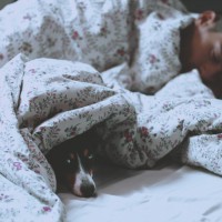 The Surprising Secret To A Good Sleep Involves Your Dog!