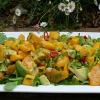 Summer Mango, Avocado and Orange Salad