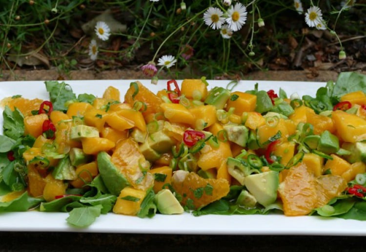 Summer Mango, Avocado and Orange Salad