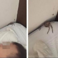 Dads Surprising Reaction to This Terrifying Find in Child's Bed