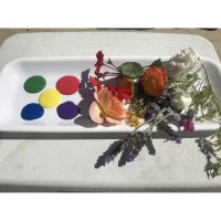 Painting with Flowers